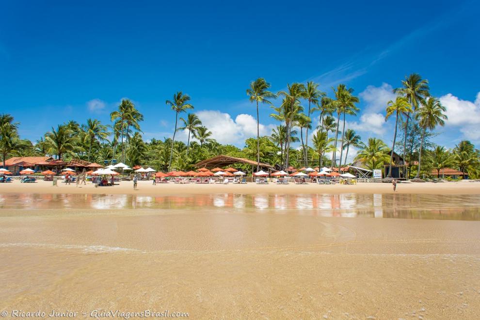 Imagem dos quiosques com guarda sol e lindos coqueiros na Praia Taipu de Fora.